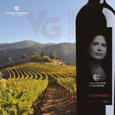 Alternative view of Rượu Luis Felipe Edwards Dona Bernarda