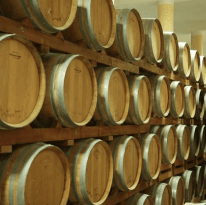 Quá trình sản xuất Rượu Iris Negroamaro Primitivo Cantine San Pancrazio 14,5%