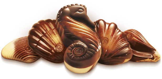 The Original Sea Shells