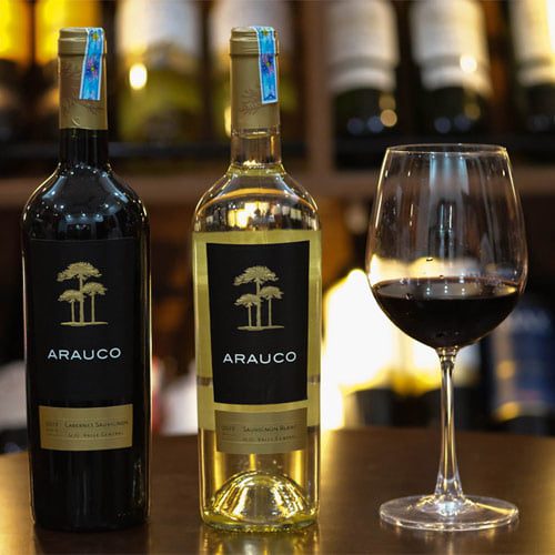 Vang Chile Arauco Sauvignon Blanc 2019 ( Trắng ) 12,5%