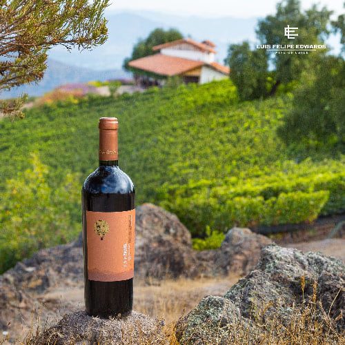 Vang Chile Luis Felipe Edwards Gran Reserva Sauvignon Blanc 2017 12,5%