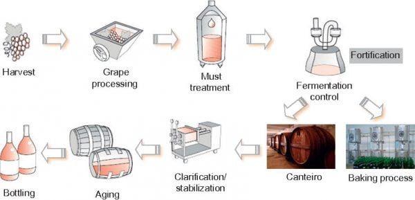 Quy trình sản xuất rượu vang Chile LA CAPITANA Barrel Reserva