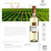 Rượu Luis Felipe Edwards Sauvignon Blanc 1