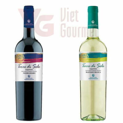 Vang Terre Di Sole Rosso đỏ và trắng Rượu Vang Terre Di Sole Rosso 2