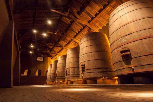 Quá trình ủ rượu san jose de apalta reserva 14.5%