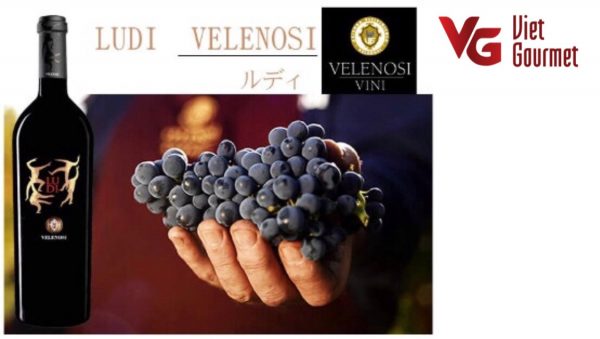 Từng công đoạn sản xuất rượu vang của Velenosi đều chứa đầy những đam mê sáng tạo