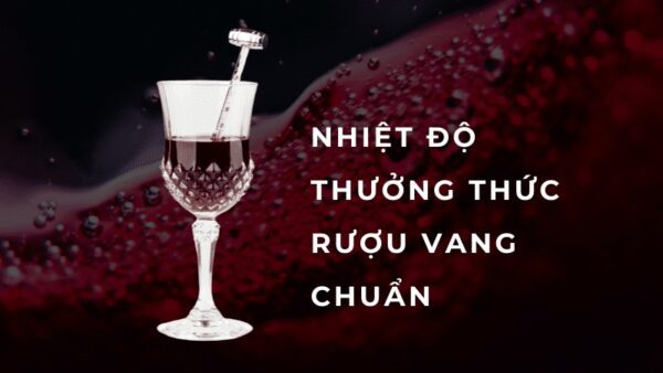 Nhiệt Độ Thưởng Thức Rượu Vang Lý Tưởng Nhất