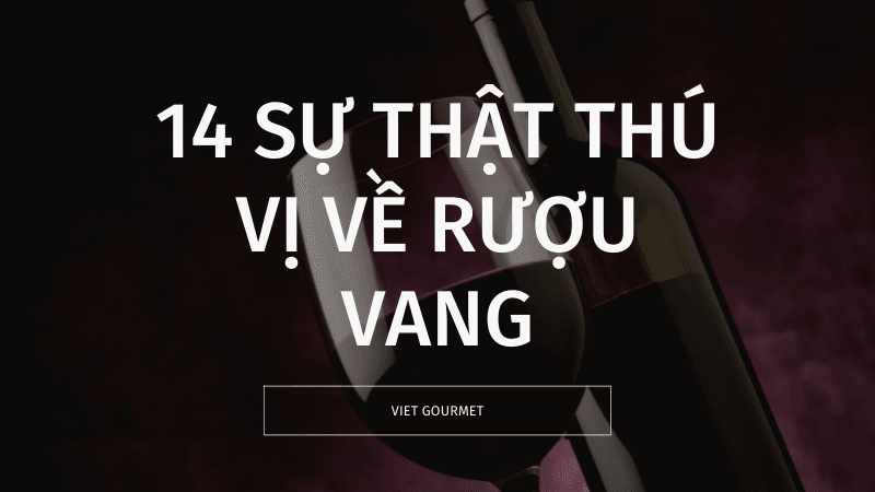 su-that-thu-vi-ve-ruou-vang