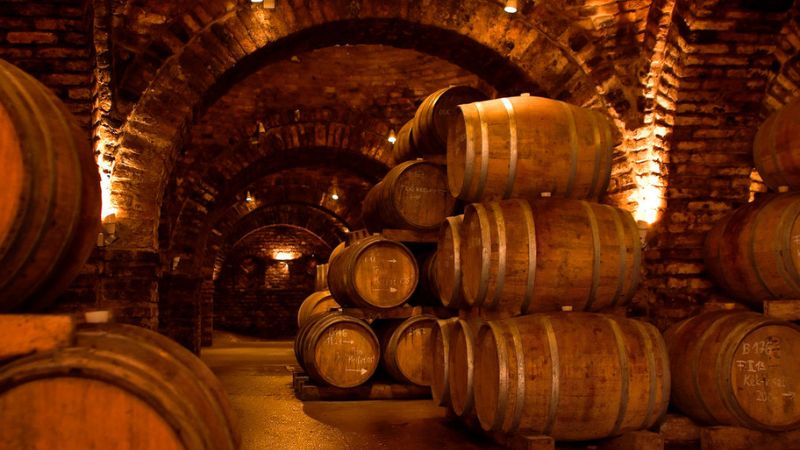 Rượu vang Monteverdi Pinot Grigio Provincia Di Pavia 750ml