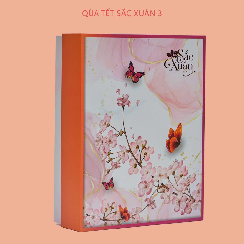 Hộp quà Tết Sắc Xuân 3