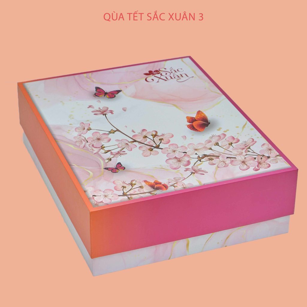 Hộp quà Tết Sắc Xuân 3