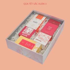 Hộp quà Tết Sắc Xuân 3