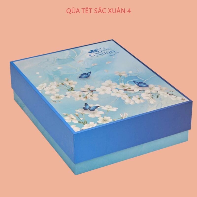 Hộp quà Tết Sắc Xuân 4