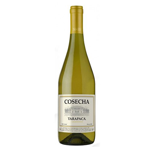 Rượu vang Tarapaca Cosecha Sauvignon Blanc