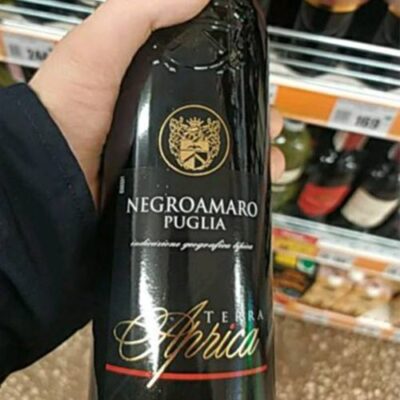 Alternative view of Negroamaro Primitivo Puglia Terra Aprica