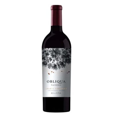 Ventisquero Obliqua Carmenere