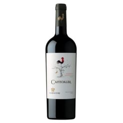 Cantoalba Cabernet Sauvignon