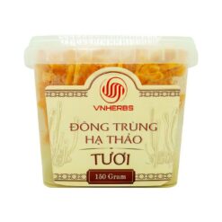 Đông Trùng Hạ Thảo Tươi