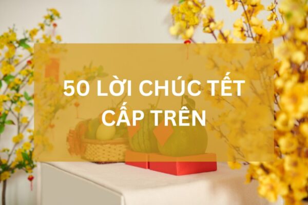 50 loi chuc tet cap tren