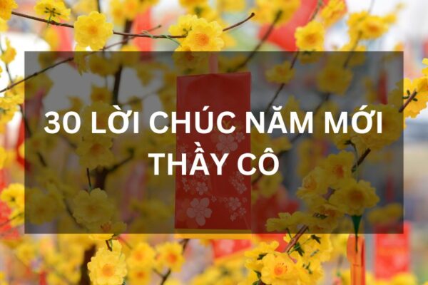 loi chuc nam moi thay co