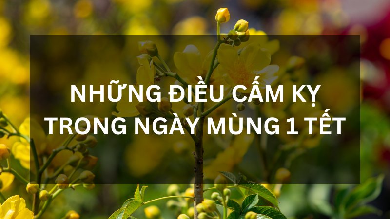 nhung dieu cam ky trong ngay mung 1 tet