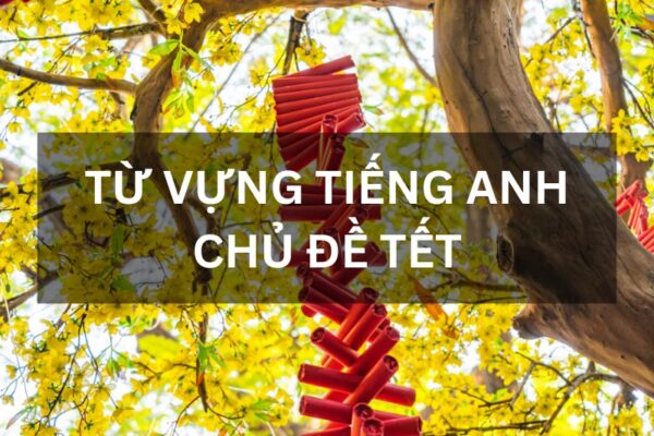 tu vung tieng anh chu de tet